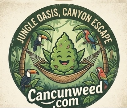 Cancun Cannabis Shop Exotic Flower — Premium exotic marijuana flower at Cancun weed dispensary, Sour Candy, Gorilla Glue, and more strains available for delivery
