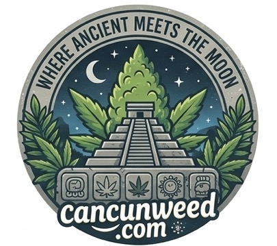 Cancun Dispensary Near Me — Closest cannabis dispensary to Cancun Hotel Zone resorts, weed delivery near Zona Hotelera Cancun Mexico