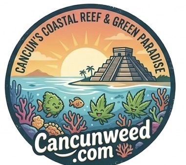 Cancun Smoke Shop — Pre-rolls, vapes, and exotic flower available at Cancun weed store, best smoke shop for tourists in Cancun Mexico Hotel Zone