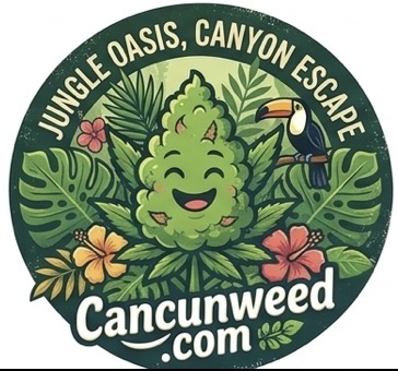 Cancun Weed Brand NFT Collection — Exclusive digital collectibles from CancunWeed, the top cannabis brand in Cancun Mexico, NFT art from weed dispensary