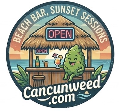 Cancun Weed Store Trusted Reviews — Highest rated cannabis dispensary in Cancun with 182+ Google reviews, trusted weed shop by tourists and travelers