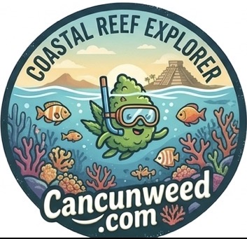 CancunWeed Dispensary Premium Products — High-THC exotic strains, vape cartridges, and pre-rolls at Cancun best weed shop, cannabis delivery Cancun Mexico