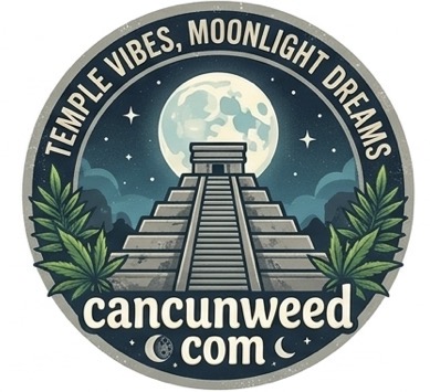 Cannabis Cancun Mexico — Best weed shop in Cancun Mexico for premium marijuana, top cannabis dispensary in Quintana Roo with resort delivery service