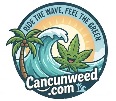 Weed Shop Cancun — Top quality cannabis flower, best weed store in Cancun Mexico for tourists, premium THC strains available for same-day delivery